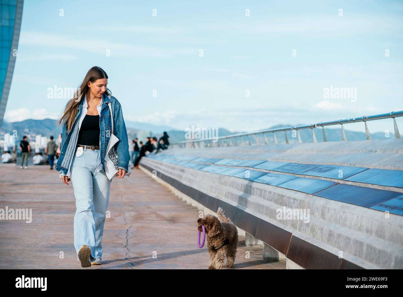 Jeune femme marchant avec le chien caniche dans la rue Banque D'Images