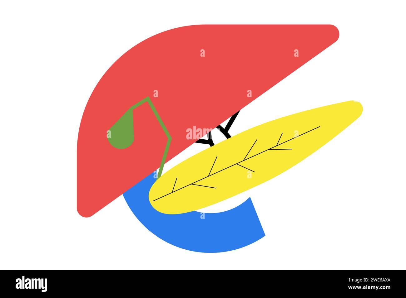 Conception de l'anatomie du foie et du pancréas humain en patchwork géométrique. Composition graphique pour publicité, bannière, design d'emballage. Illustration de Vecteur