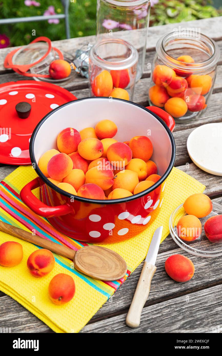 Préparation de conserves d'abricots sur une table de jardin en bois Banque D'Images