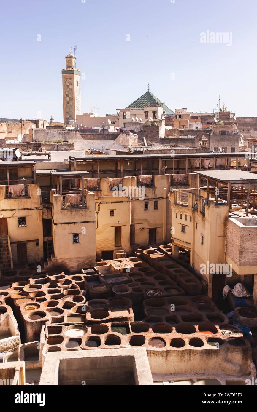 Industrie du cuir de la tannerie Chouara à Fès, Maroc, Afrique Banque D'Images