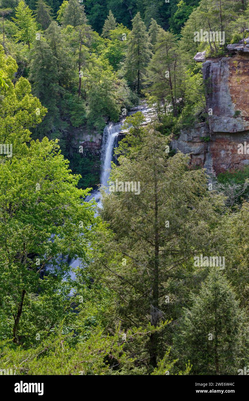 À 256 mètres Fall Creek Falls dans le parc d'État de Fall Creek Falls près de Spencer, Tennessee est la plus haute chute d'eau à l'est des Rocheuses Banque D'Images