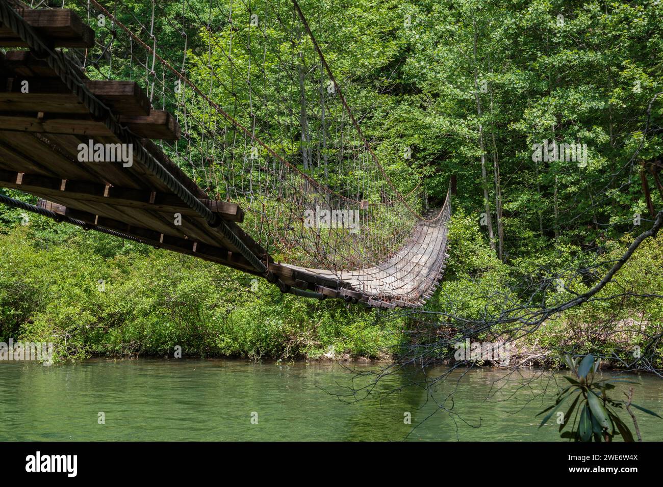Pont suspendu au-dessus de Cane Creek dans le parc d'État de Fall Creek Falls près de Spencer, Tennessee Banque D'Images