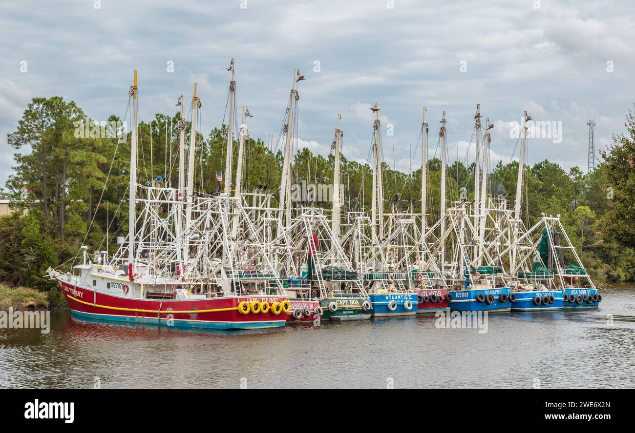 Des bateaux de pêche à la crevette commerciaux ont ancré le long de l'intérieur du Bayou Bernard en préparation d'un ouragan dans le golfe du Mexique Banque D'Images