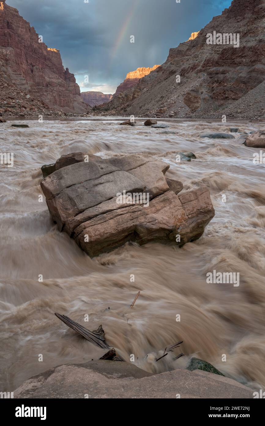 Big Drop #3 (alias Satan Gut) sur le fleuve Colorado, Cataract Canyon, Utah. Banque D'Images