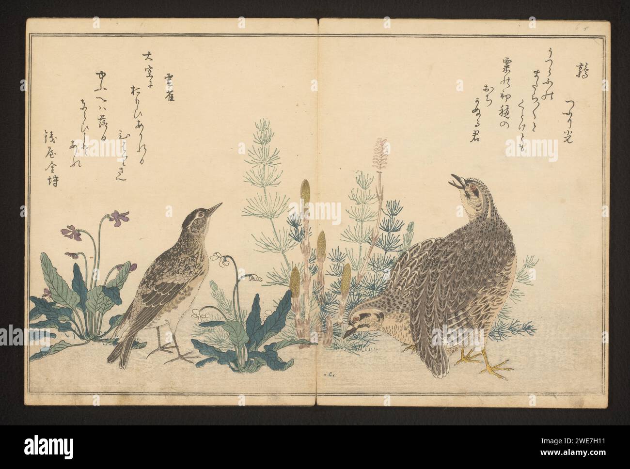 Cail et skylark, c. 1796 onzième et douzième pages du Vogelboek d'Utamaro. Ou papier couleur gravure sur bois Banque D'Images