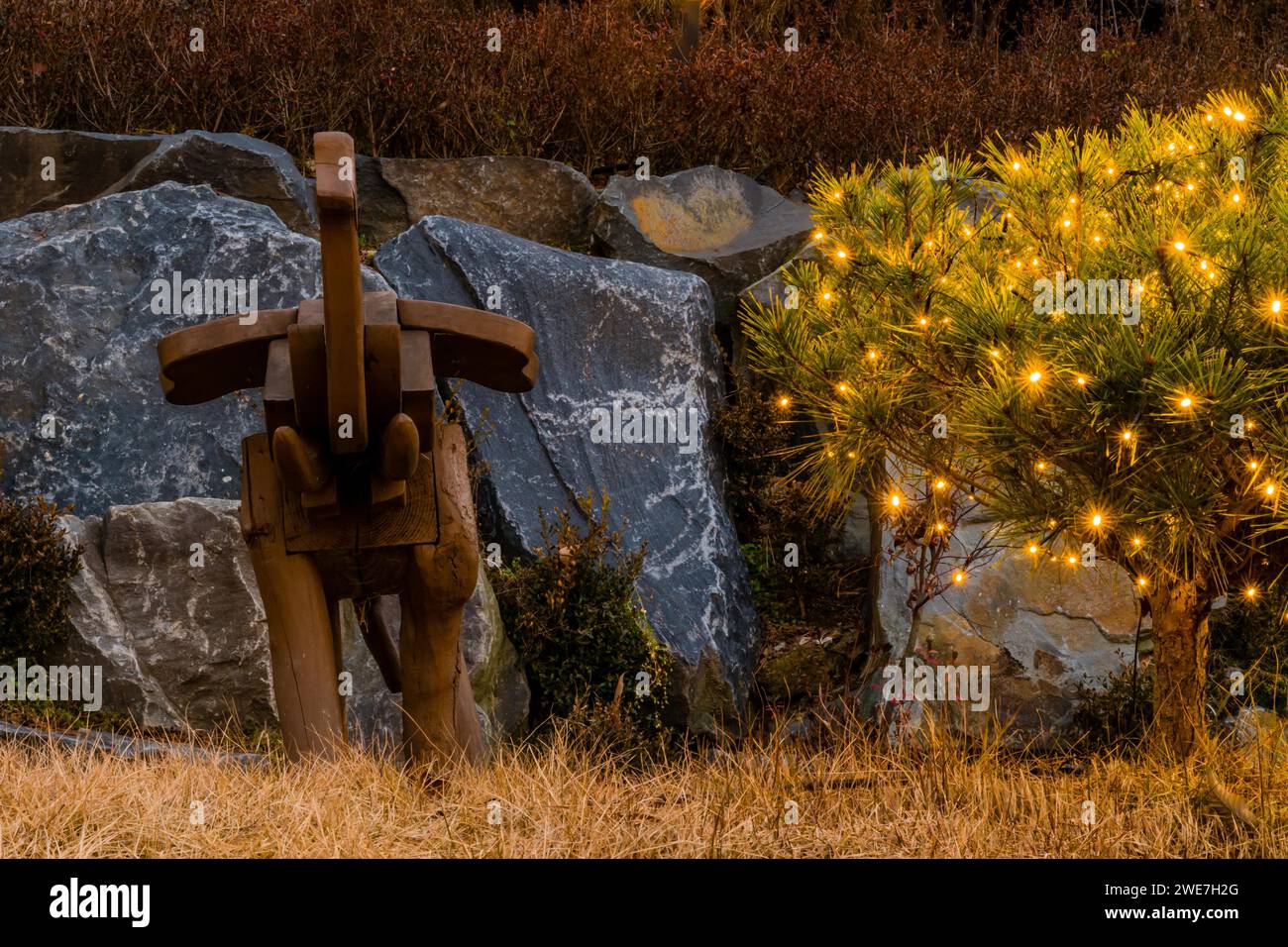 Arbustes Evergreen décorés de petites lumières de Noël jaunes à côté du banc de parc en bois en Corée du Sud Banque D'Images