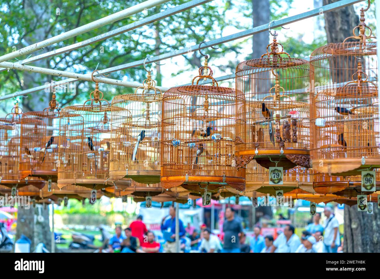 Les cages de Warbler au concours de chant attirent de nombreux oiseaux du monde entier pour se rassembler dans le parc pendant le nouvel an lunaire. Banque D'Images