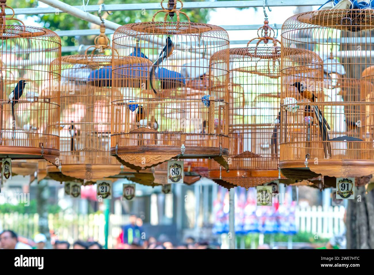 Les cages de Warbler au concours de chant attirent de nombreux oiseaux du monde entier pour se rassembler dans le parc pendant le nouvel an lunaire. Banque D'Images