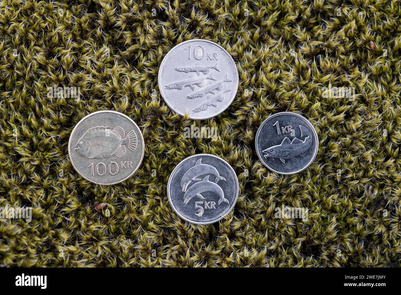 Couronnes islandaises, pièces sur mousse, Islande Banque D'Images