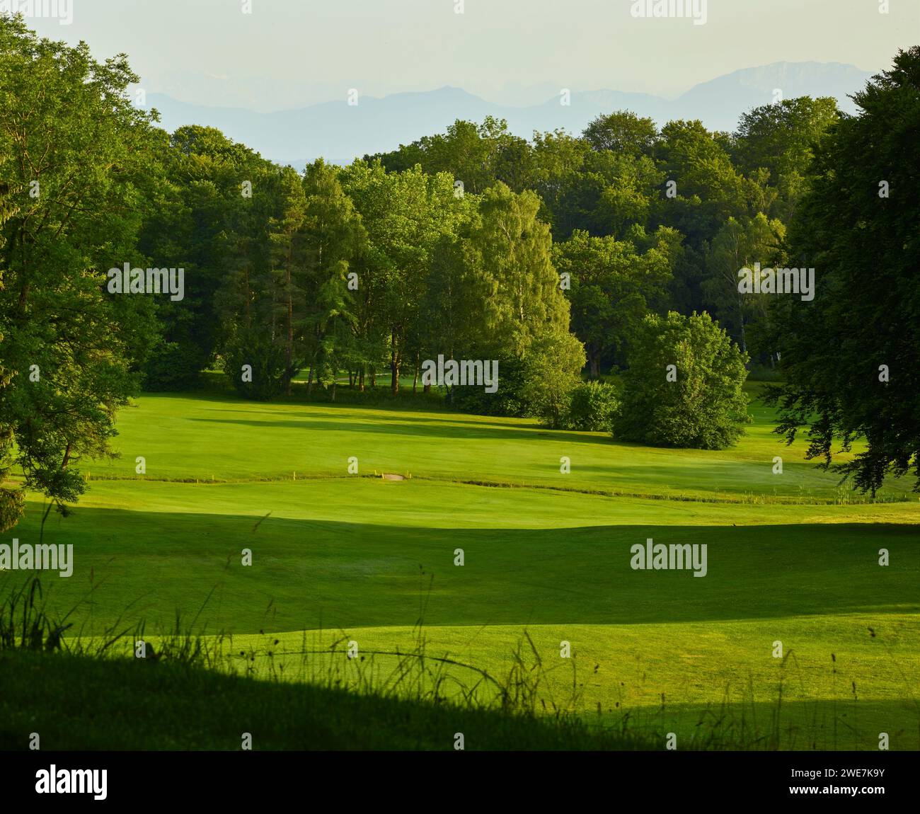 Terrain de golf Banque D'Images