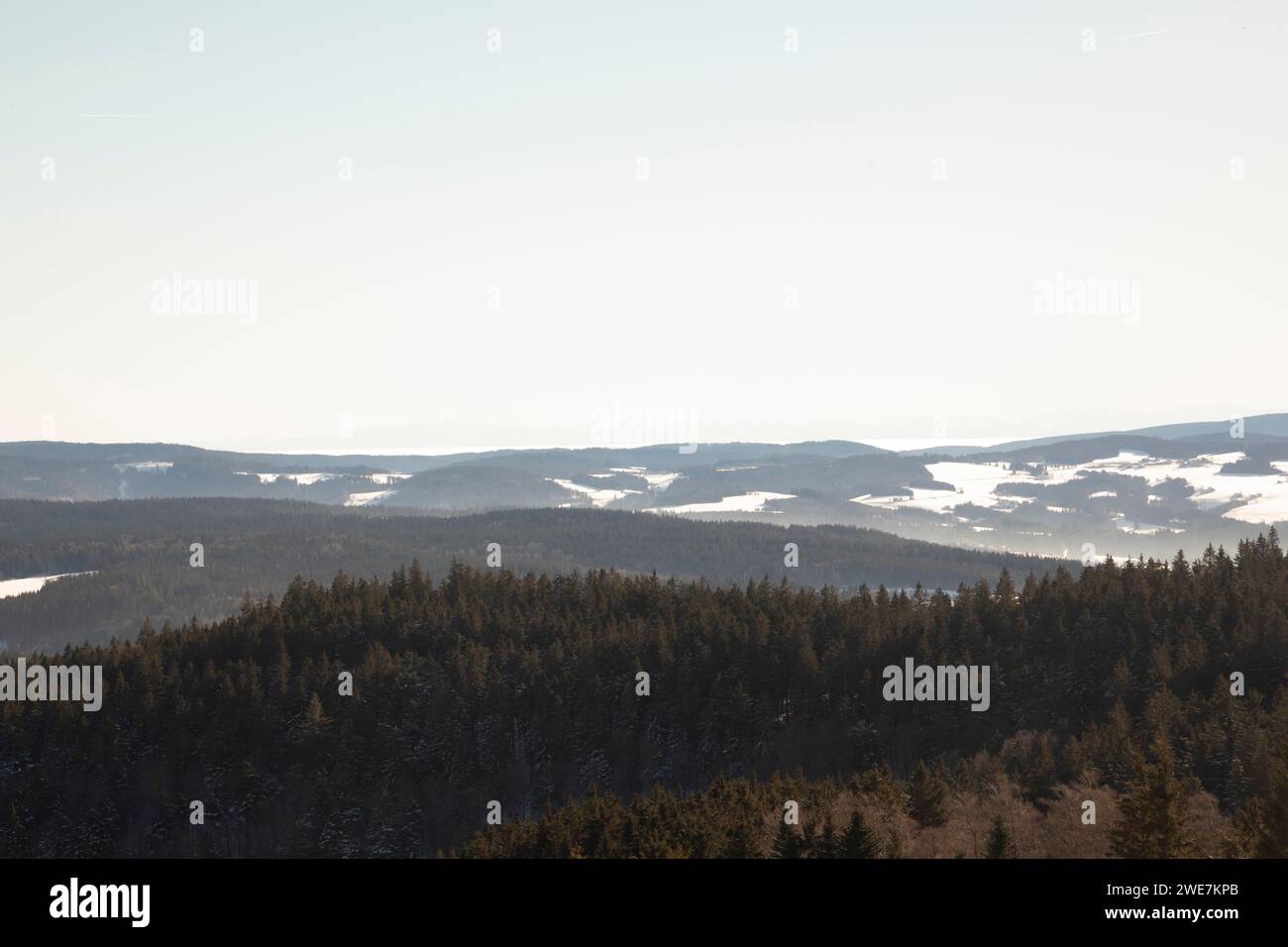 Forêt Noire avec vue sur les Alpes avec neige, Kandel, Baden-Wuerttemberg, Allemagne Banque D'Images