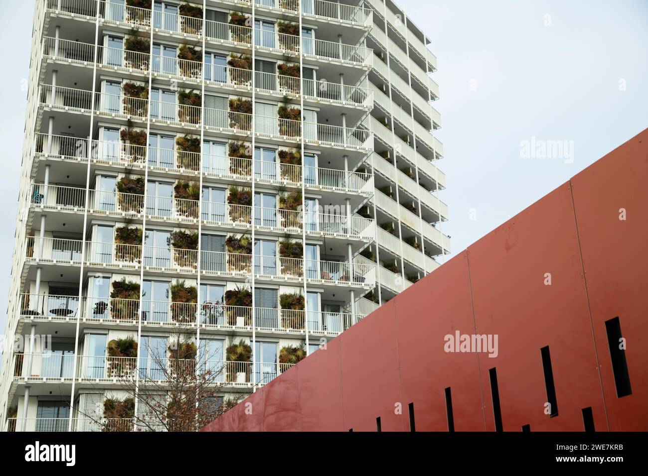 Immeuble avec mur végétal, Freiburg, Baden-Wuerttemberg, Allemagne Banque D'Images