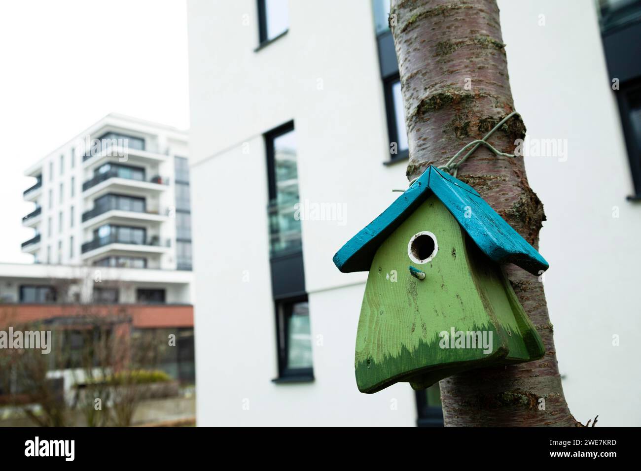 Nichoir en face de l'immeuble, Freiburg, Baden-Wuerttemberg, Allemagne Banque D'Images