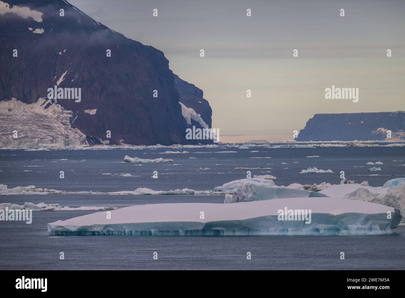 Île James Ross sur la péninsule antarctique Banque D'Images