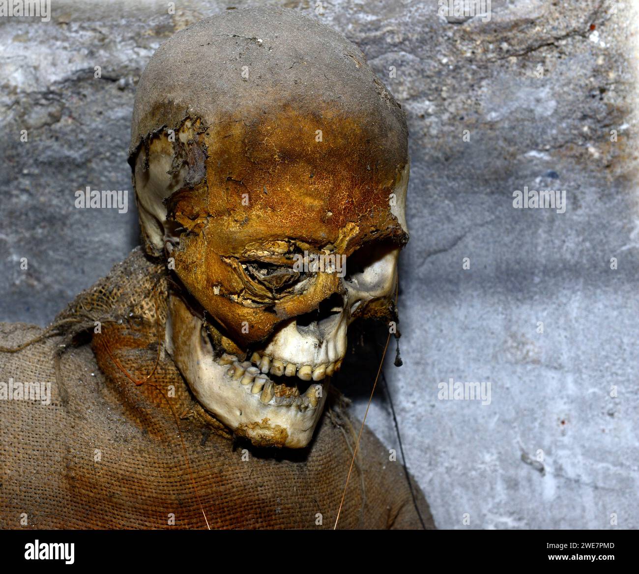 Cadavres momifiés dans les catacombes capucines de Palerme, Italie. Banque D'Images