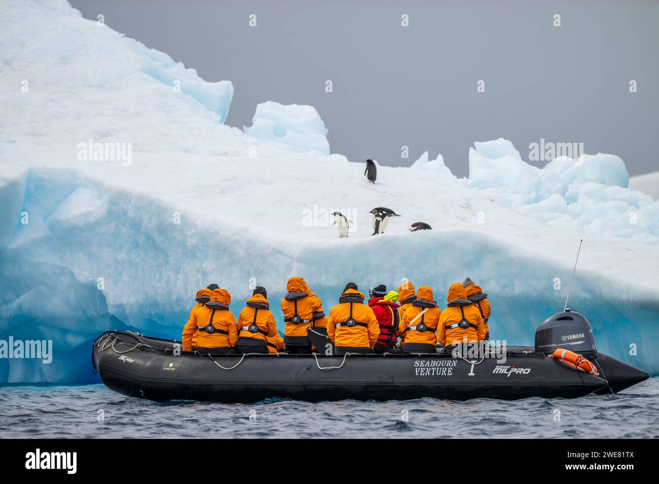 Un groupe de touristes à bord d'un zodiaque observe les manchots adelie sur un iceberg Banque D'Images