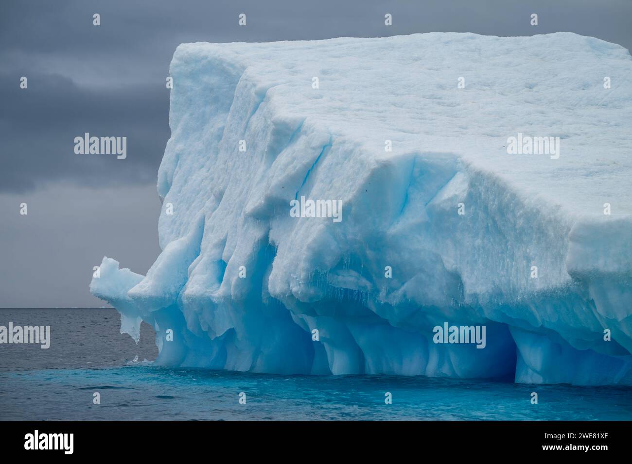 Un iceberg à Hope Bay, Antarctique Banque D'Images