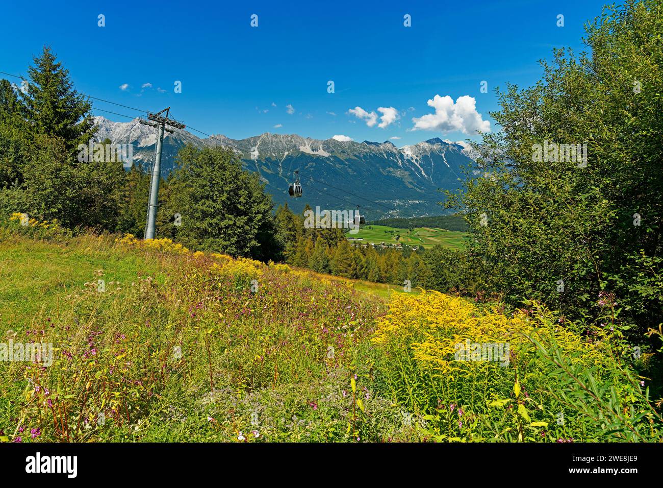 Landschaft, Seilbahngondeln, Wildblumen Banque D'Images