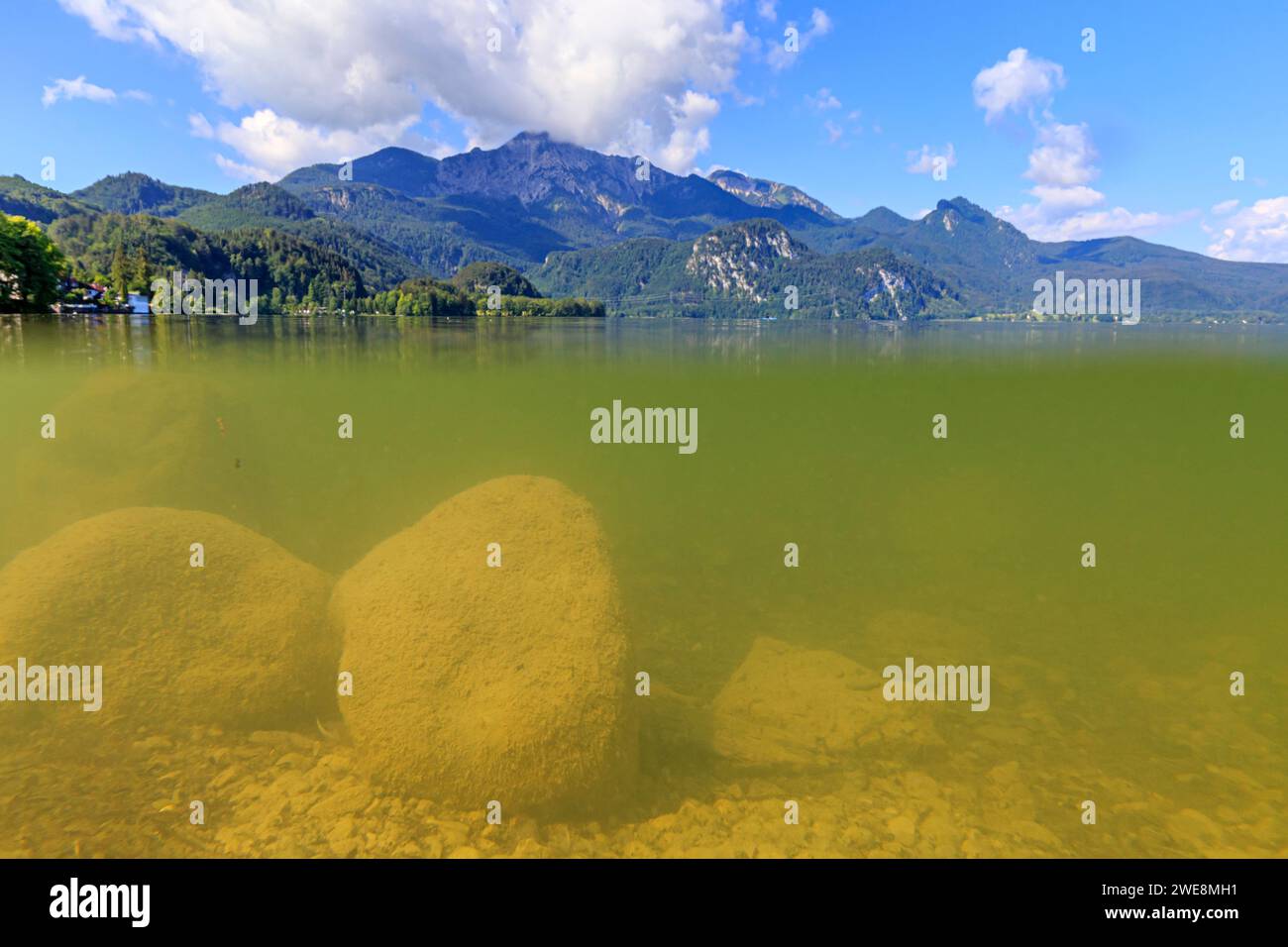 Photo sous-marine du lac devant les montagnes, réflexion, été, lumière du jour, lac Kochelsee, haute Bavière, Bavière, Allemagne, Europe Banque D'Images