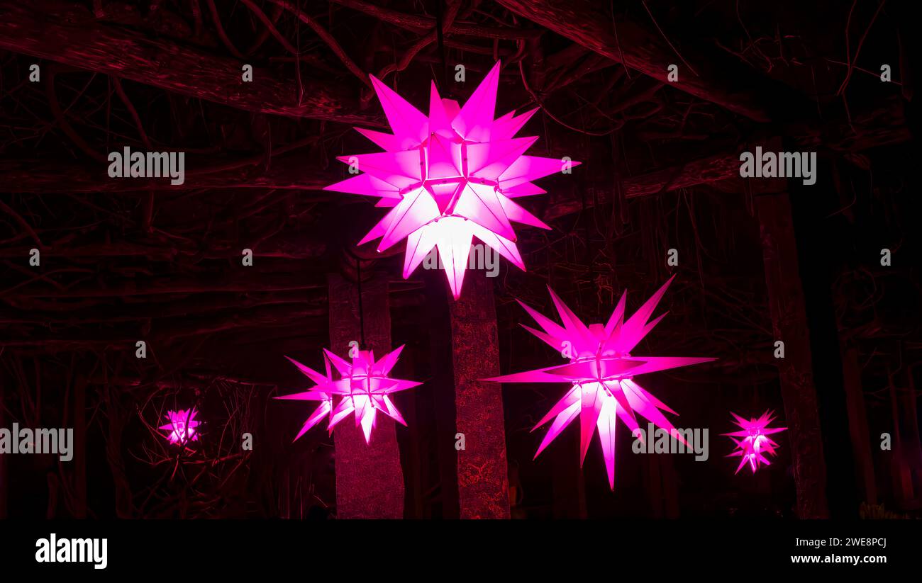 Mainau, Allemagne - 27 décembre 2023 : un jardin de Noël est un événement de Noël avec de belles créations lumineuses et illuminations sur l'île de Mainau Banque D'Images Mainau, Allemagne - 27 décembre 2023 : un jardin de Noël est un événement de Noël avec de belles créations lumineuses et illuminations sur l'île de Mainau Banque D'Images