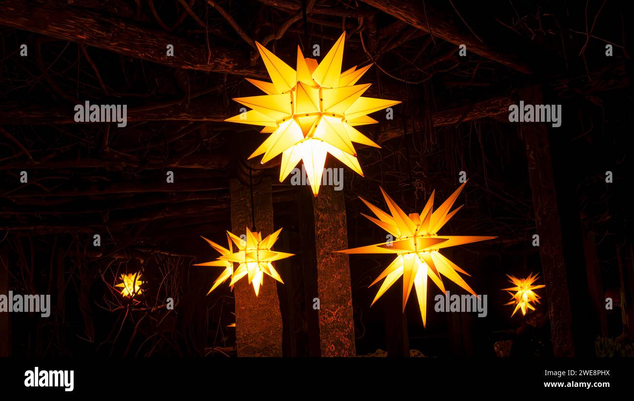 Mainau, Allemagne - 27 décembre 2023 : un jardin de Noël est un événement de Noël avec de belles créations lumineuses et illuminations sur l'île de Mainau Banque D'Images Mainau, Allemagne - 27 décembre 2023 : un jardin de Noël est un événement de Noël avec de belles créations lumineuses et illuminations sur l'île de Mainau Banque D'Images