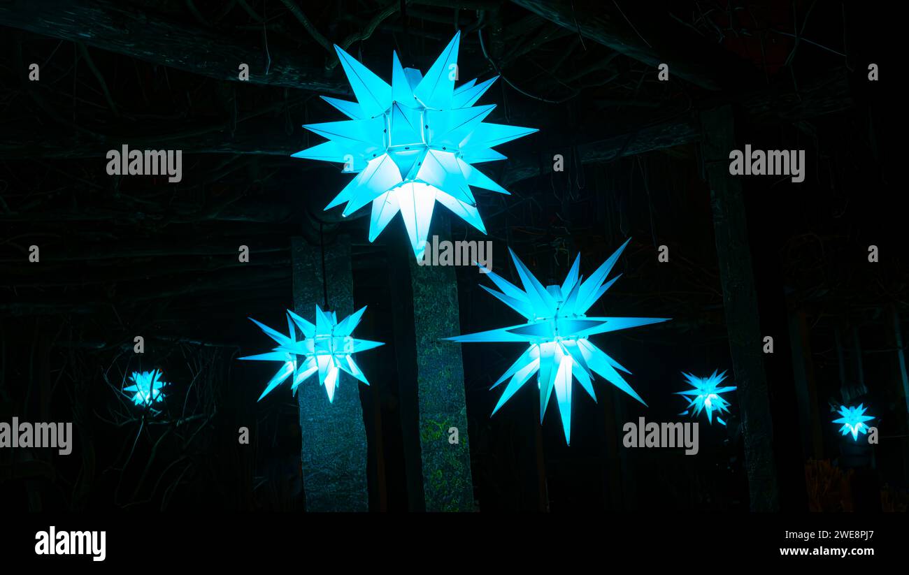 Mainau, Allemagne - 27 décembre 2023 : un jardin de Noël est un événement de Noël avec de belles créations lumineuses et illuminations sur l'île de Mainau Banque D'Images Mainau, Allemagne - 27 décembre 2023 : un jardin de Noël est un événement de Noël avec de belles créations lumineuses et illuminations sur l'île de Mainau Banque D'Images