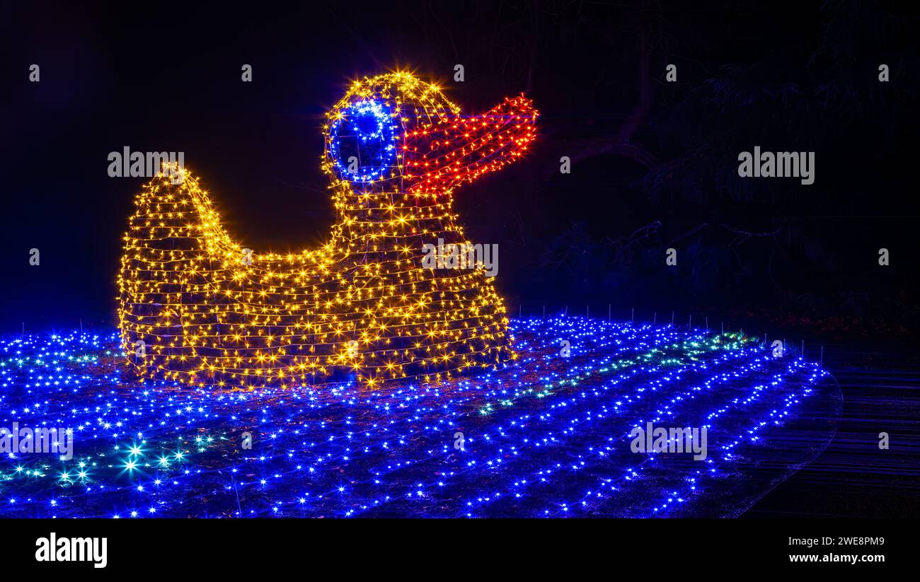 Mainau, Allemagne - 27 décembre 2023 : un jardin de Noël est un événement de Noël avec de belles créations lumineuses et illuminations sur l'île de Mainau Banque D'Images Mainau, Allemagne - 27 décembre 2023 : un jardin de Noël est un événement de Noël avec de belles créations lumineuses et illuminations sur l'île de Mainau Banque D'Images