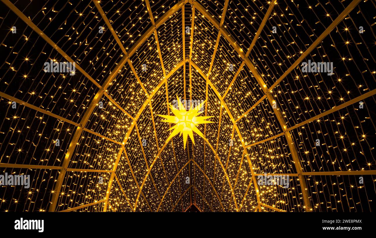 Mainau, Allemagne - 27 décembre 2023 : un jardin de Noël est un événement de Noël avec de belles créations lumineuses et illuminations sur l'île de Mainau Banque D'Images Mainau, Allemagne - 27 décembre 2023 : un jardin de Noël est un événement de Noël avec de belles créations lumineuses et illuminations sur l'île de Mainau Banque D'Images
