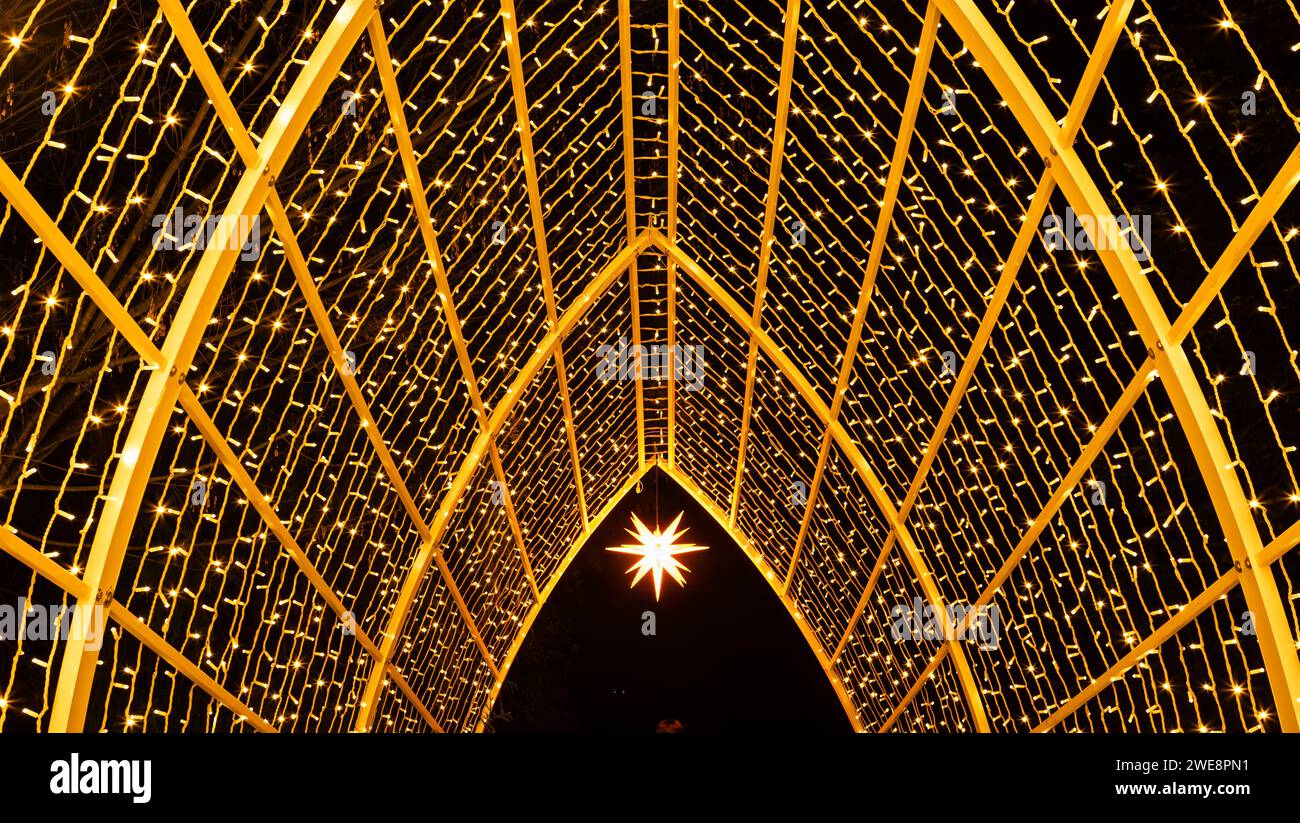 Mainau, Allemagne - 27 décembre 2023 : un jardin de Noël est un événement de Noël avec de belles créations lumineuses et illuminations sur l'île de Mainau Banque D'Images Mainau, Allemagne - 27 décembre 2023 : un jardin de Noël est un événement de Noël avec de belles créations lumineuses et illuminations sur l'île de Mainau Banque D'Images