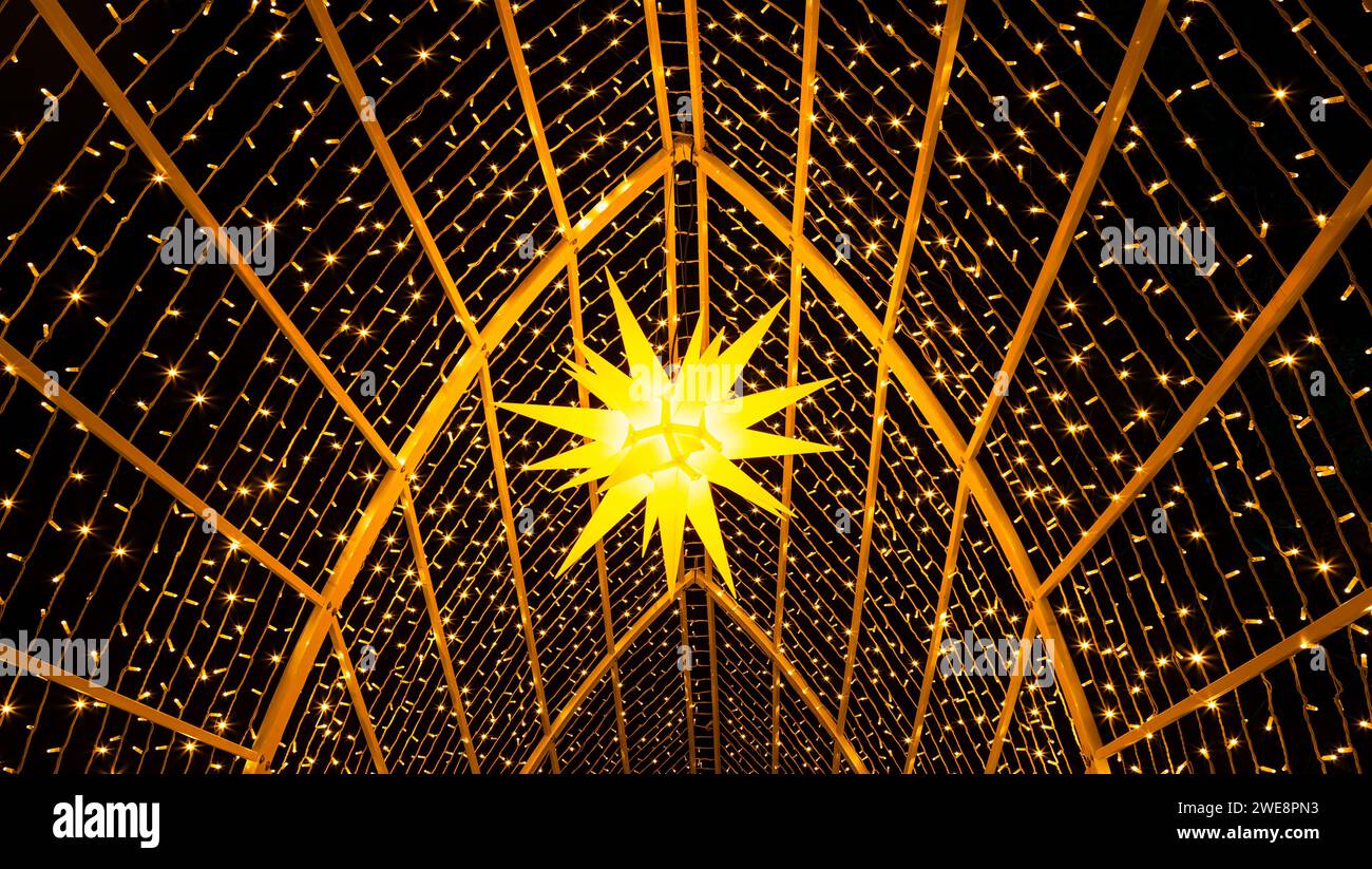 Mainau, Allemagne - 27 décembre 2023 : un jardin de Noël est un événement de Noël avec de belles créations lumineuses et illuminations sur l'île de Mainau Banque D'Images Mainau, Allemagne - 27 décembre 2023 : un jardin de Noël est un événement de Noël avec de belles créations lumineuses et illuminations sur l'île de Mainau Banque D'Images
