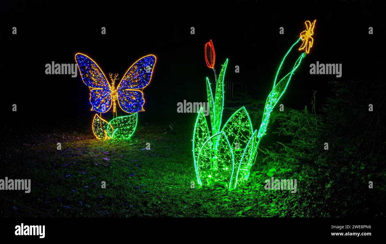 Mainau, Allemagne - 27 décembre 2023 : un jardin de Noël est un événement de Noël avec de belles créations lumineuses et illuminations sur l'île de Mainau Banque D'Images Mainau, Allemagne - 27 décembre 2023 : un jardin de Noël est un événement de Noël avec de belles créations lumineuses et illuminations sur l'île de Mainau Banque D'Images