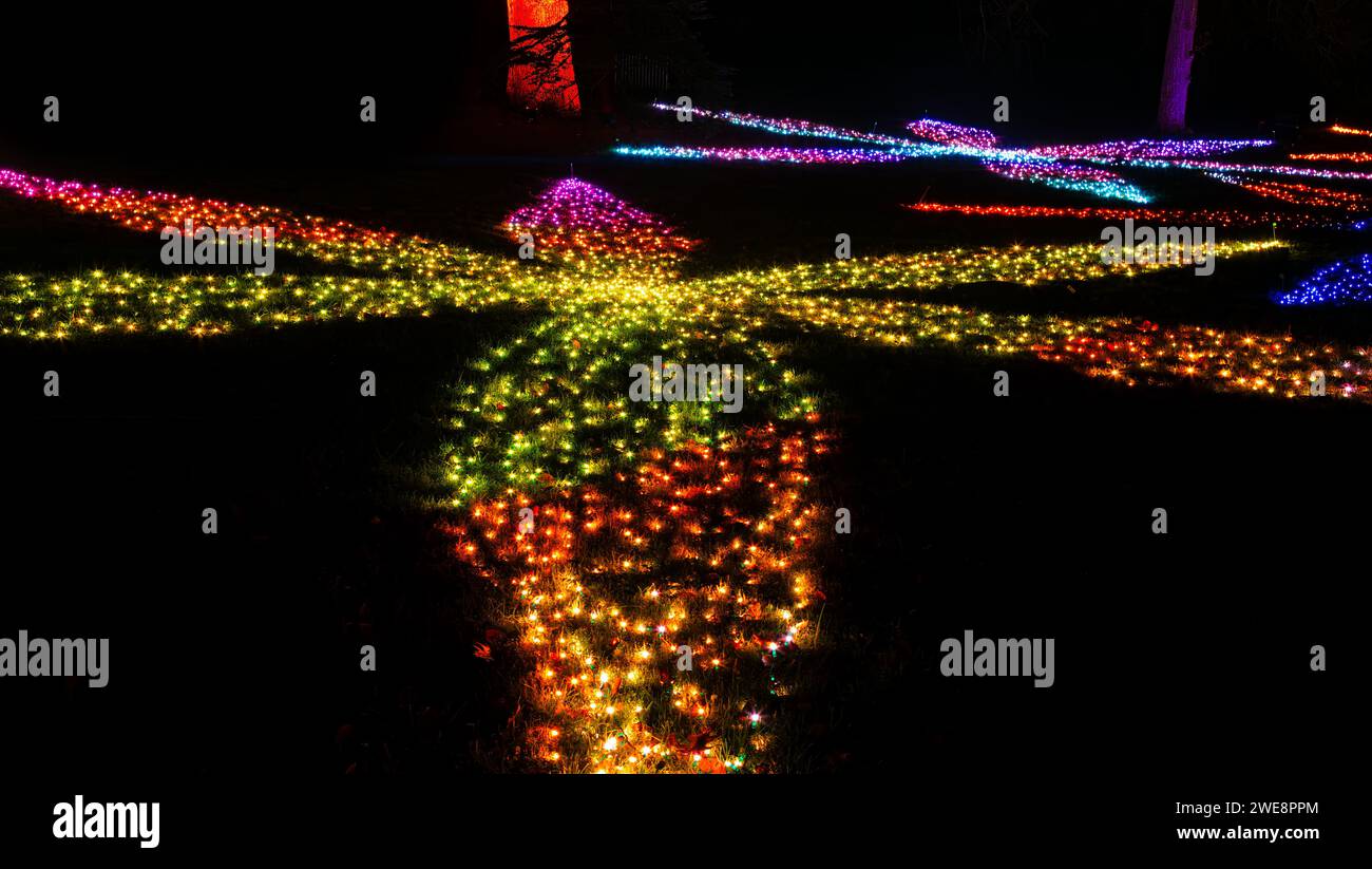 Mainau, Allemagne - 27 décembre 2023 : un jardin de Noël est un événement de Noël avec de belles créations lumineuses et illuminations sur l'île de Mainau Banque D'Images Mainau, Allemagne - 27 décembre 2023 : un jardin de Noël est un événement de Noël avec de belles créations lumineuses et illuminations sur l'île de Mainau Banque D'Images