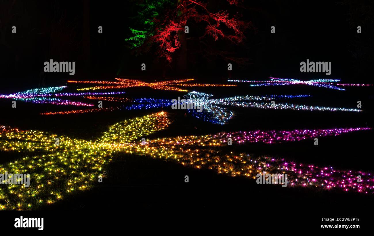 Mainau, Allemagne - 27 décembre 2023 : un jardin de Noël est un événement de Noël avec de belles créations lumineuses et illuminations sur l'île de Mainau Banque D'Images Mainau, Allemagne - 27 décembre 2023 : un jardin de Noël est un événement de Noël avec de belles créations lumineuses et illuminations sur l'île de Mainau Banque D'Images