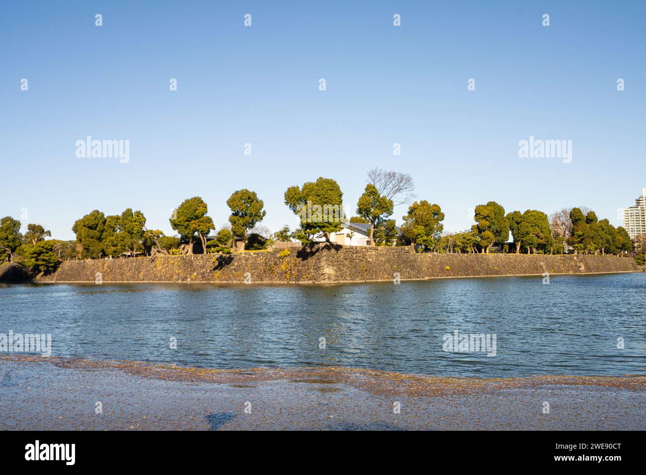 Tokyo, Japon. Janvier 2024. Les murs entourés d'eau des jardins avant du Palais impérial dans le centre-ville Banque D'Images