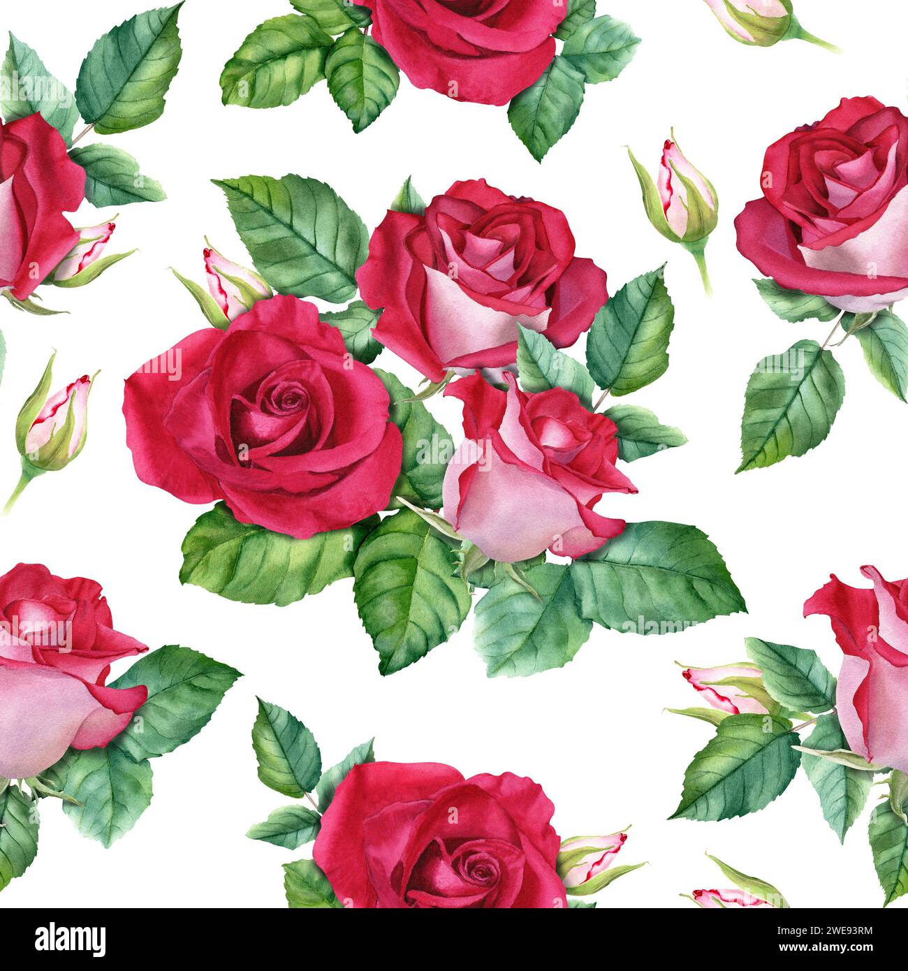 Motif floral sans couture avec des fleurs, des bourgeons et des feuilles de rose rouge. Motif de répétition de l'aquarelle. Pour envelopper le textile Banque D'Images