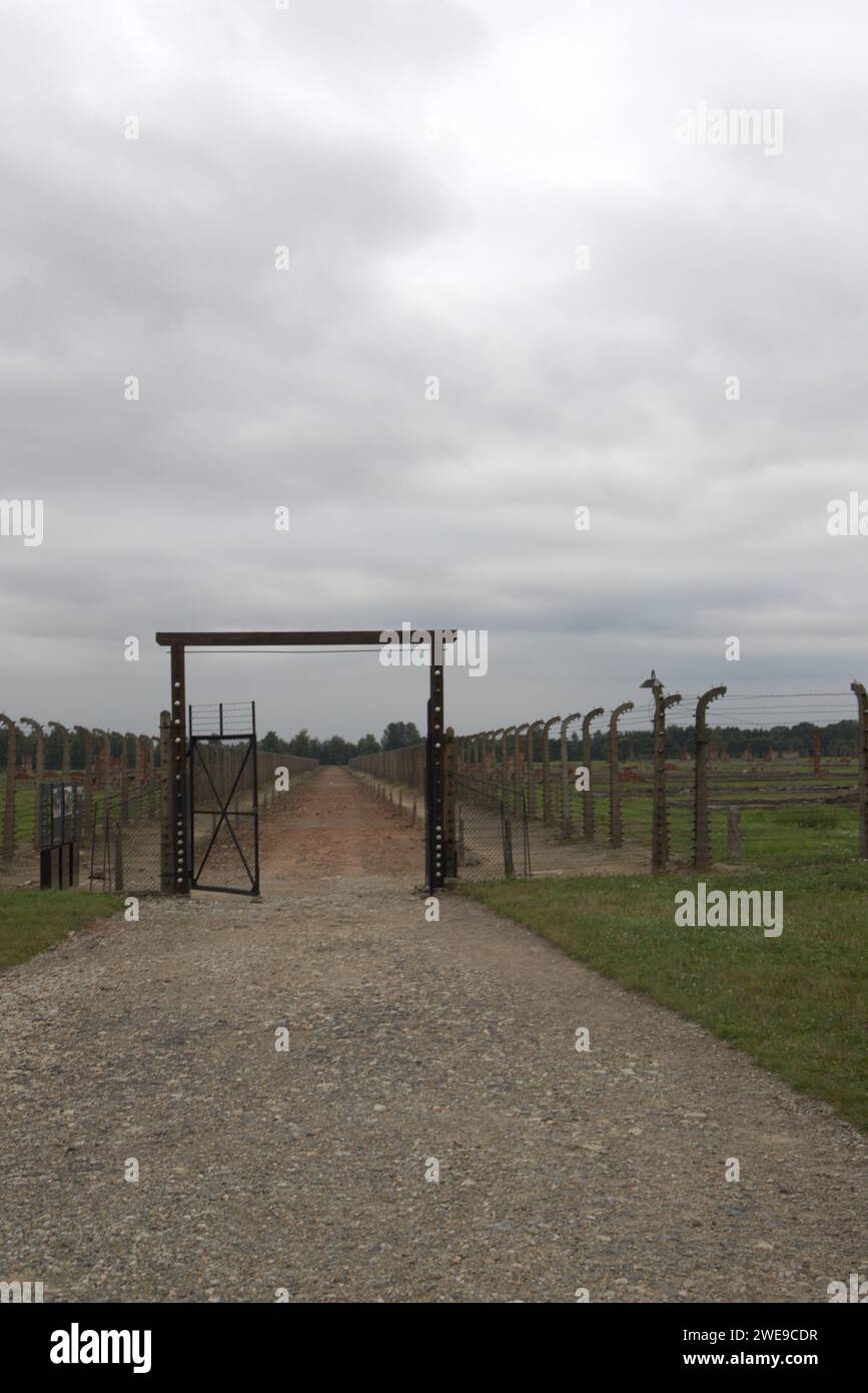 Une des allées de Birkenau Banque D'Images