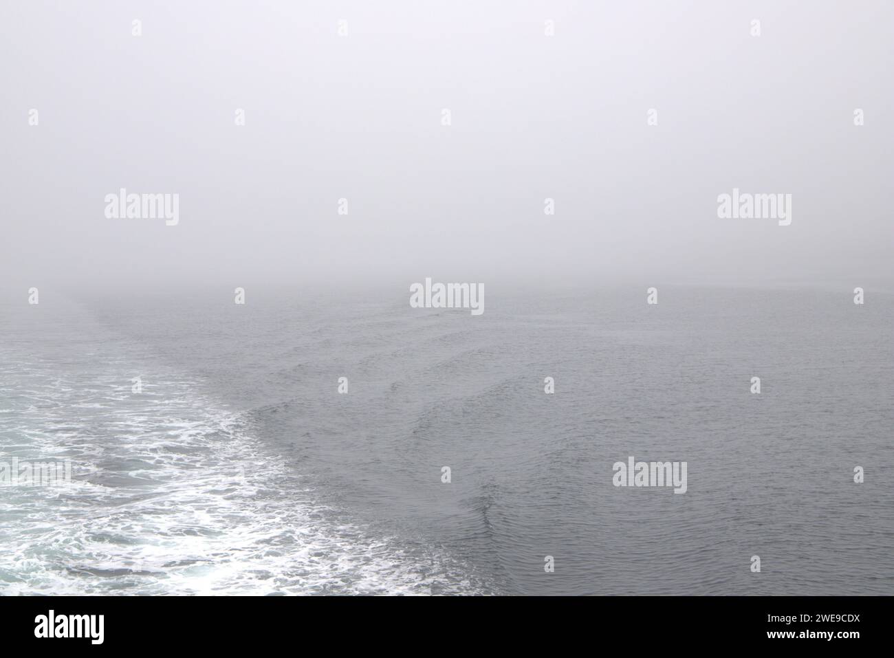 Marsouins marins dans un fjord norvégien Banque D'Images