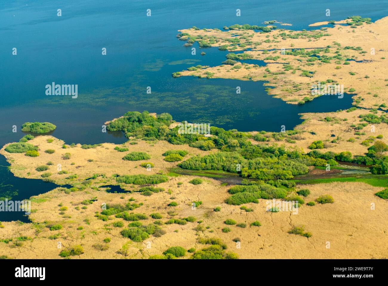 Deutschland, Niedersachsen, Luftbildaufnahme, Ochsenmoor, Dümmer See, Banque D'Images