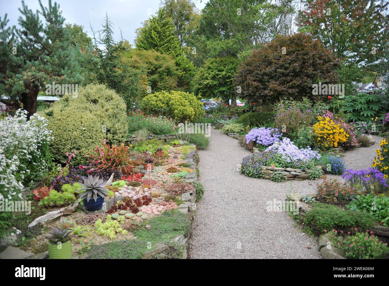 Le Gravel Garden au Picton Garden près des pépinières Old court Banque D'Images