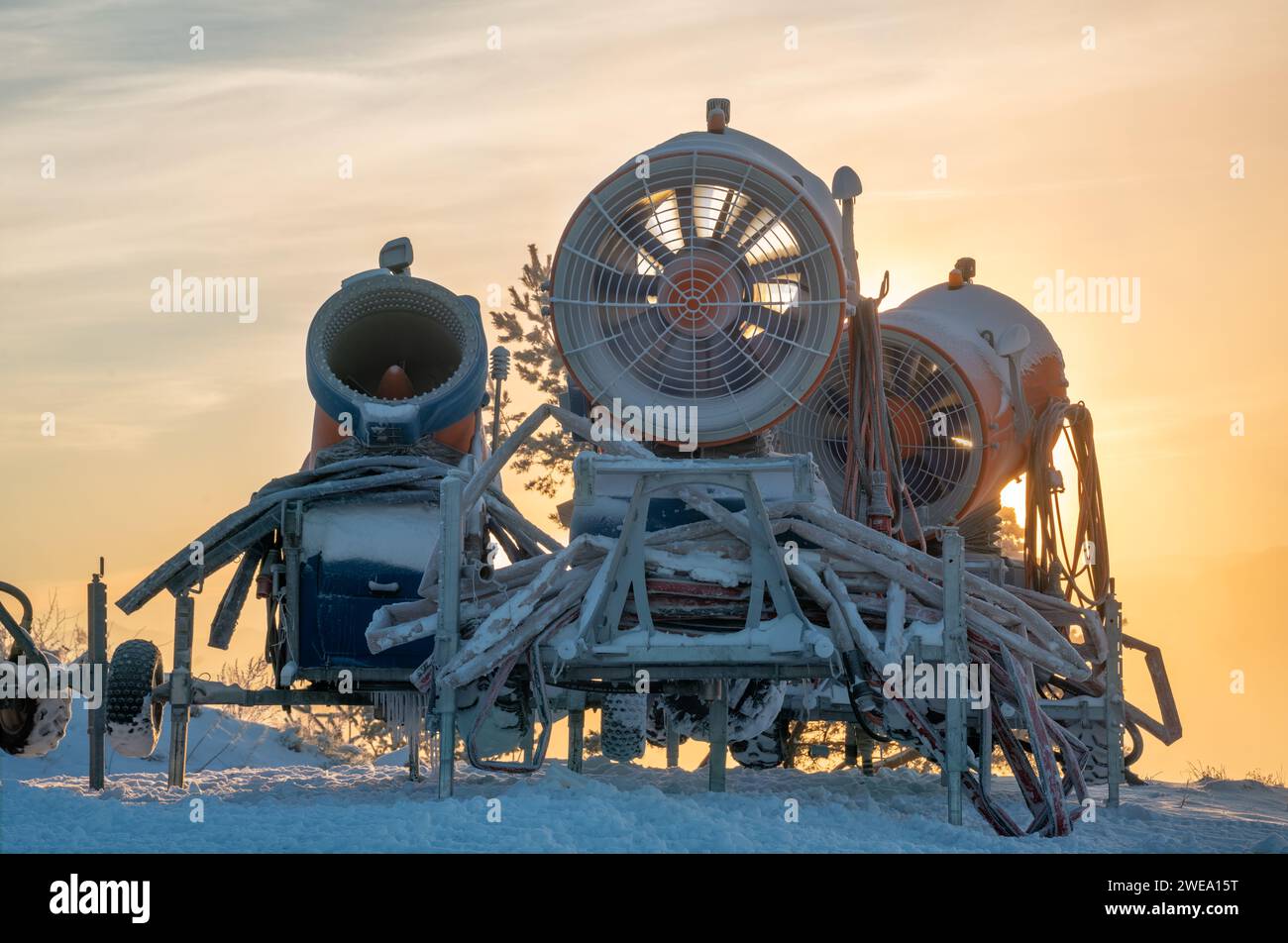 canons à neige par un matin glacial Banque D'Images