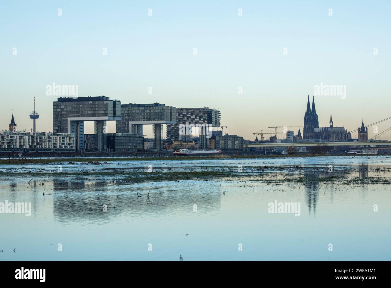 Vue depuis les plaines inondables du Rhin dans le quartier Deutz aux maisons de grue dans le port de Rheinau et la cathédrale, légère inondation, Cologne, GER Banque D'Images