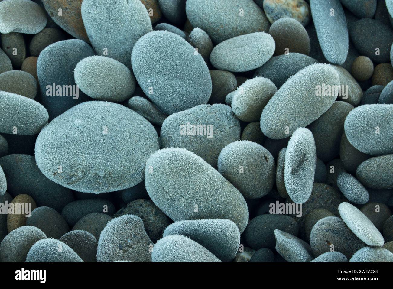 Galets sur South Beach, Olympic National Park, Washington Banque D'Images