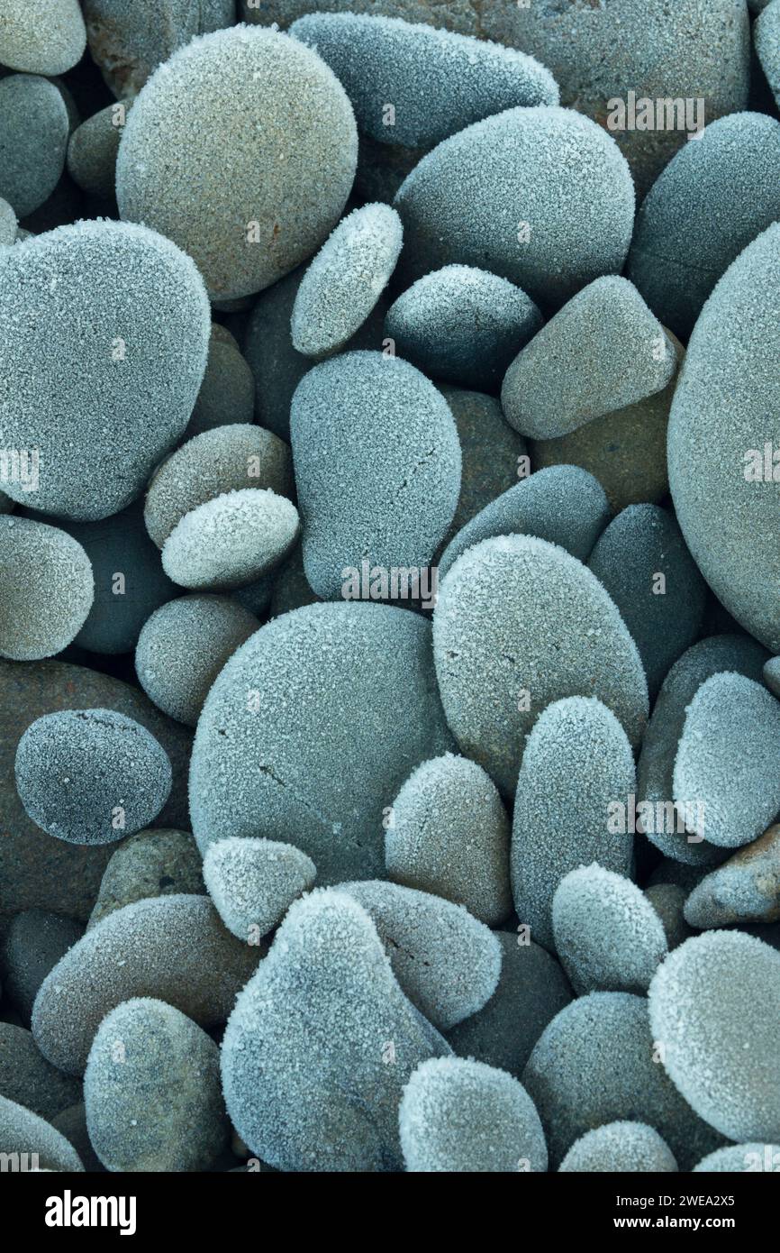 Galets sur South Beach, Olympic National Park, Washington Banque D'Images