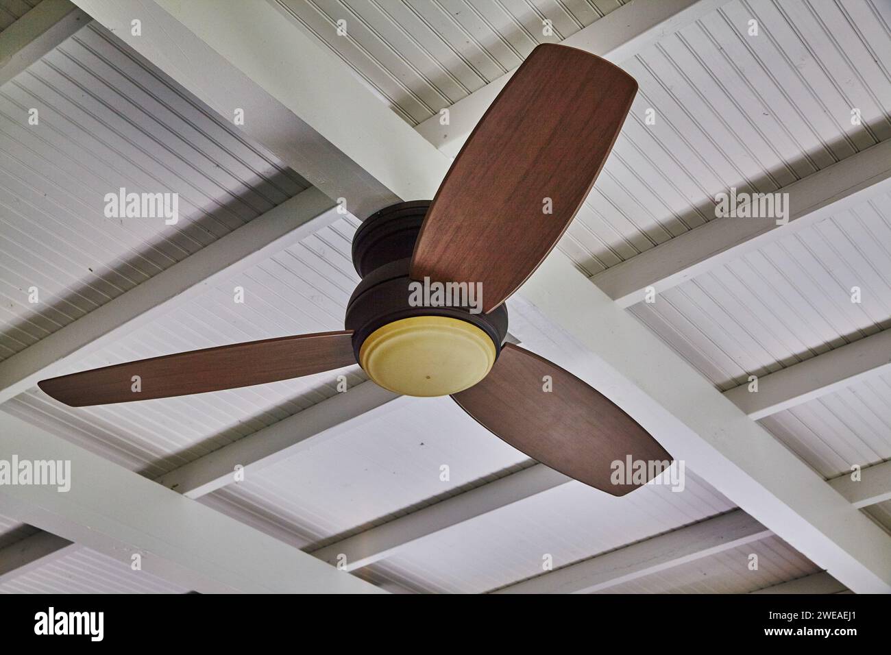 Ventilateur de plafond classique avec lames en acajou et luminaire givré Banque D'Images