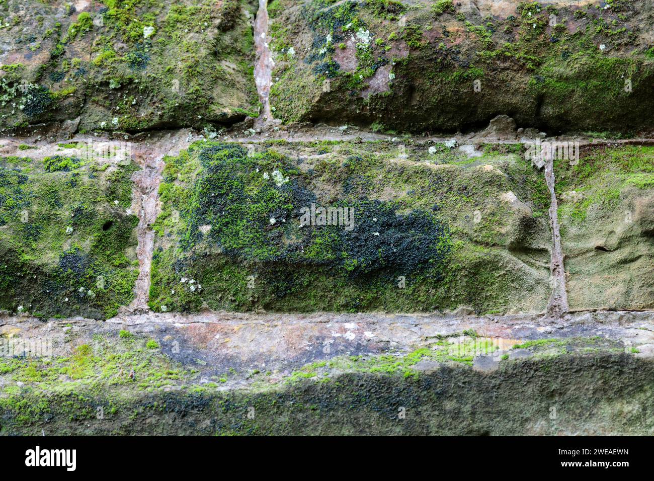 Pont de chemin de fer de mur de brique Horsham vieille texture usée patinée et formes idéales pour le mélange de texture de fond d'image composite comme couche ajoutée Banque D'Images