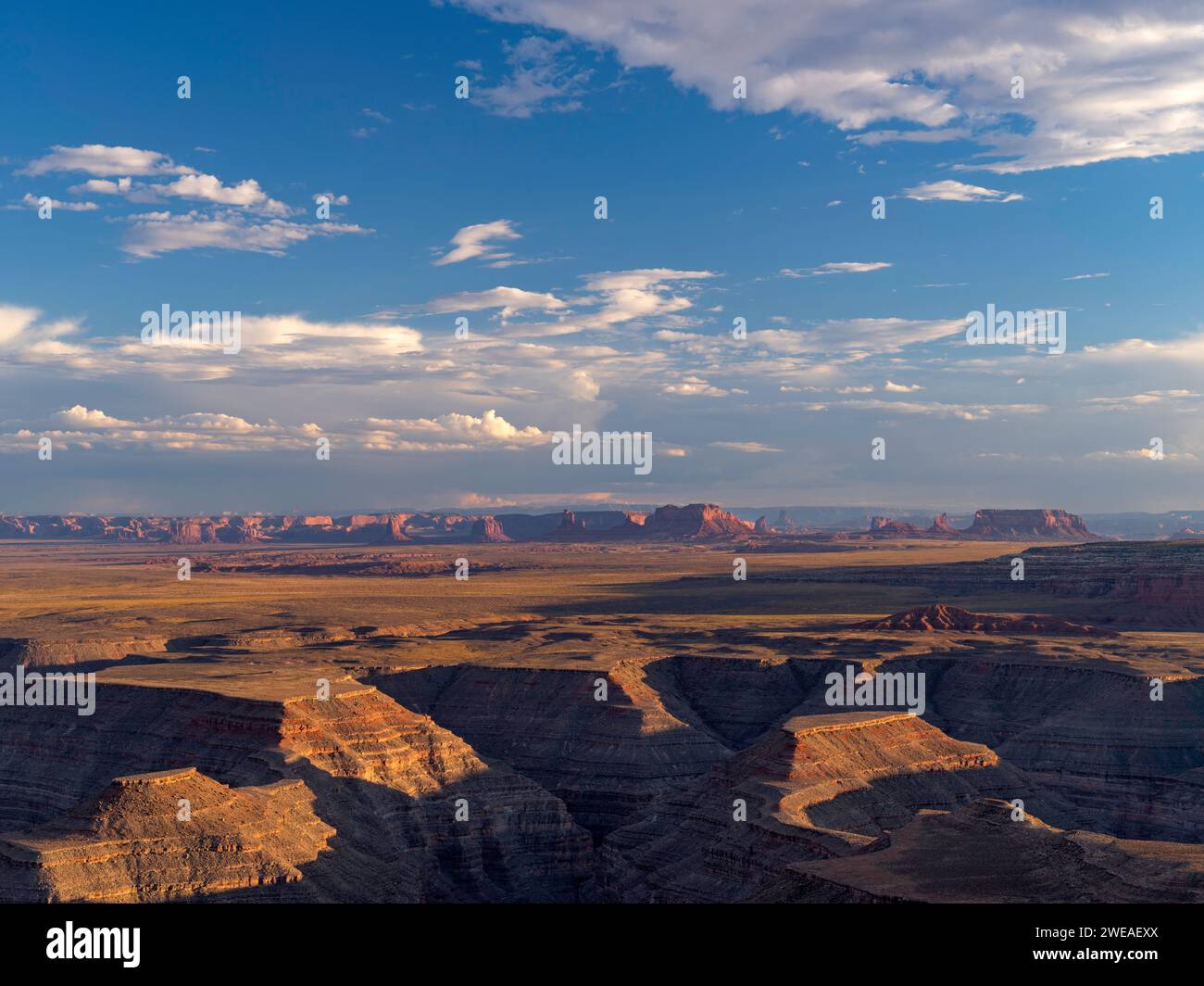 Vue de la gorge de la rivière San Juan jusqu'à Monument Valley, depuis Muley point, Utah Banque D'Images