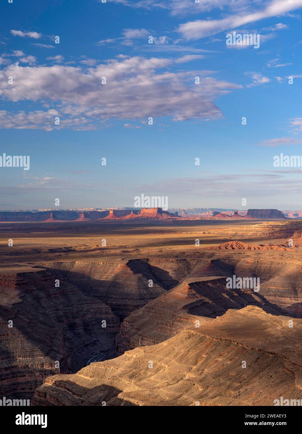 Vue de la gorge de la rivière San Juan jusqu'à Monument Valley, depuis Muley point, Utah Banque D'Images
