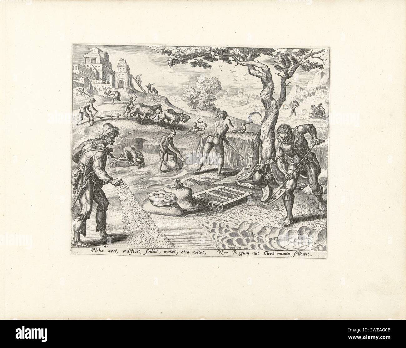 Le travail est la tâche de la troisième position, Philips Galle, après Maarten van Heemskerck, 1635 impression au premier plan, les agriculteurs travaillent sur le terrain et dans le champ. Ils sèment, tondent, labourent et creusent. Construire et récolté en arrière-plan. Ces agriculteurs représentent la majorité de la population, la troisième position. Ils doivent travailler pour nourrir le reste de la population. L'estampe a une légende latine et fait partie d'une série sur les différentes tâches des trois positions. Imprimeur : Haarlemafter design by : HaarlemHaarlemPublisher : Anvers gravure sur papier classe ouvrière, ouvriers. agriculteurs. agricul Banque D'Images