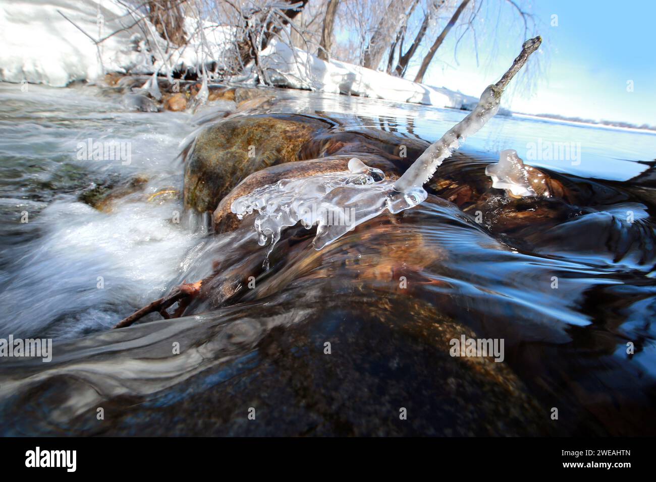 Coulant de l'eau sur Creek Bed Rocks Banque D'Images