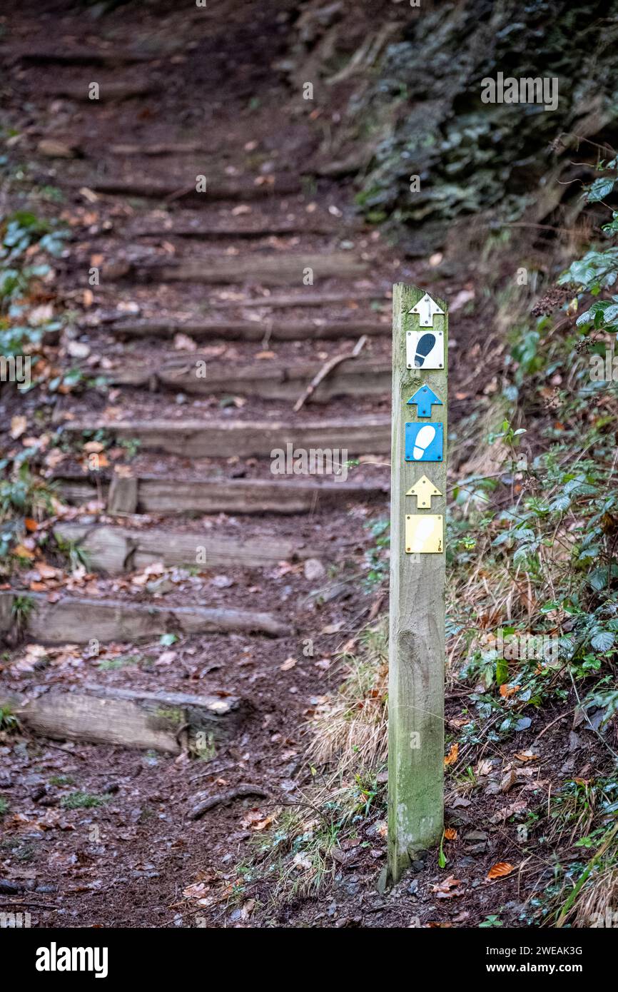 Panneau sur le parc forestier de Gwydir, Betws-Y-Coed, parc national de Snowdonia Conwy, Wale Banque D'Images